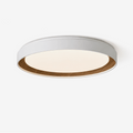 Arco Acrylic Ceiling Light