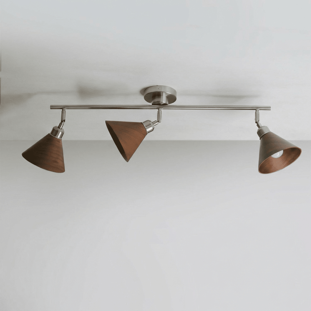 Axiom Directional Ceiling Lamp