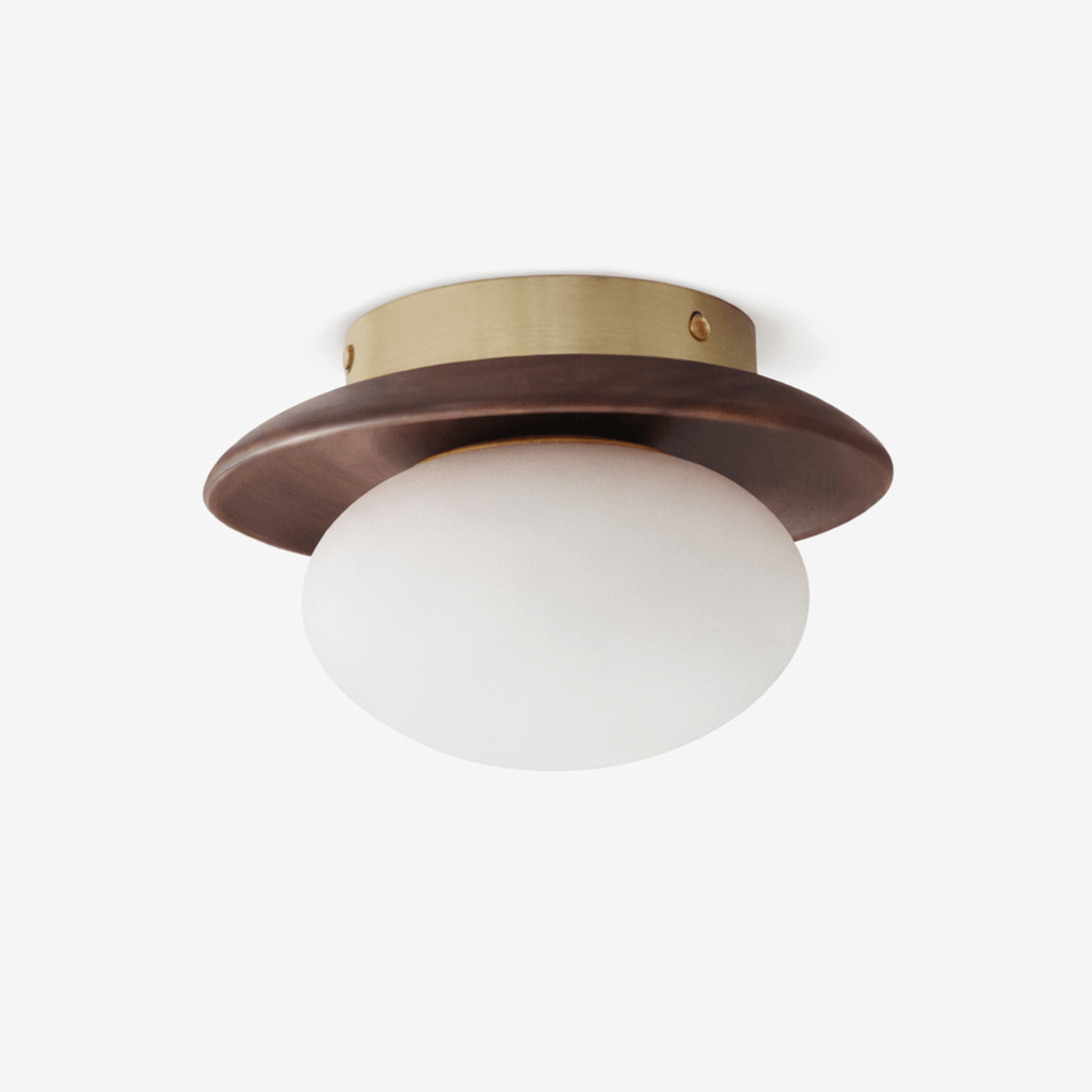Brio Dome Ceiling Light