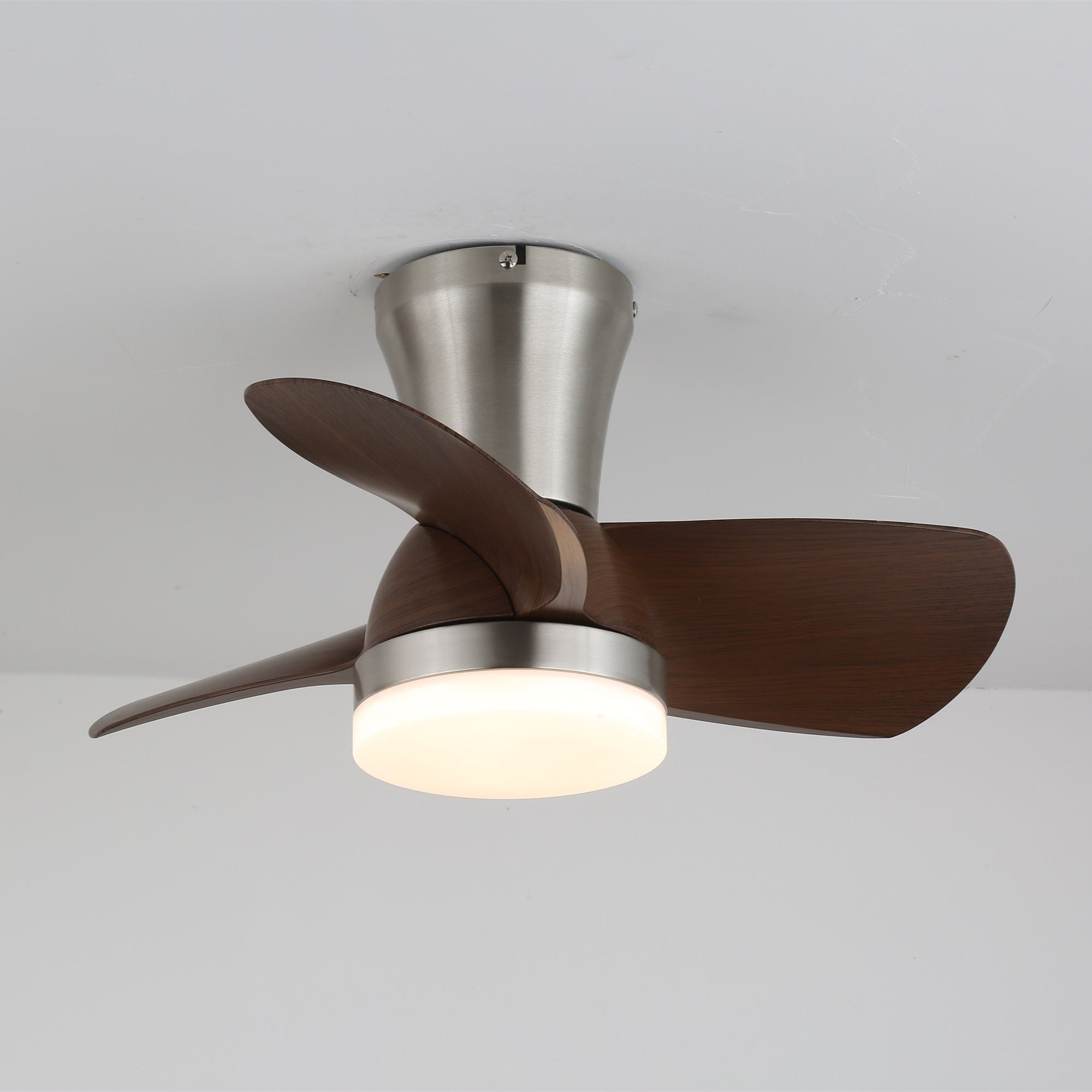 Aero Echo Ceiling Fan Light
