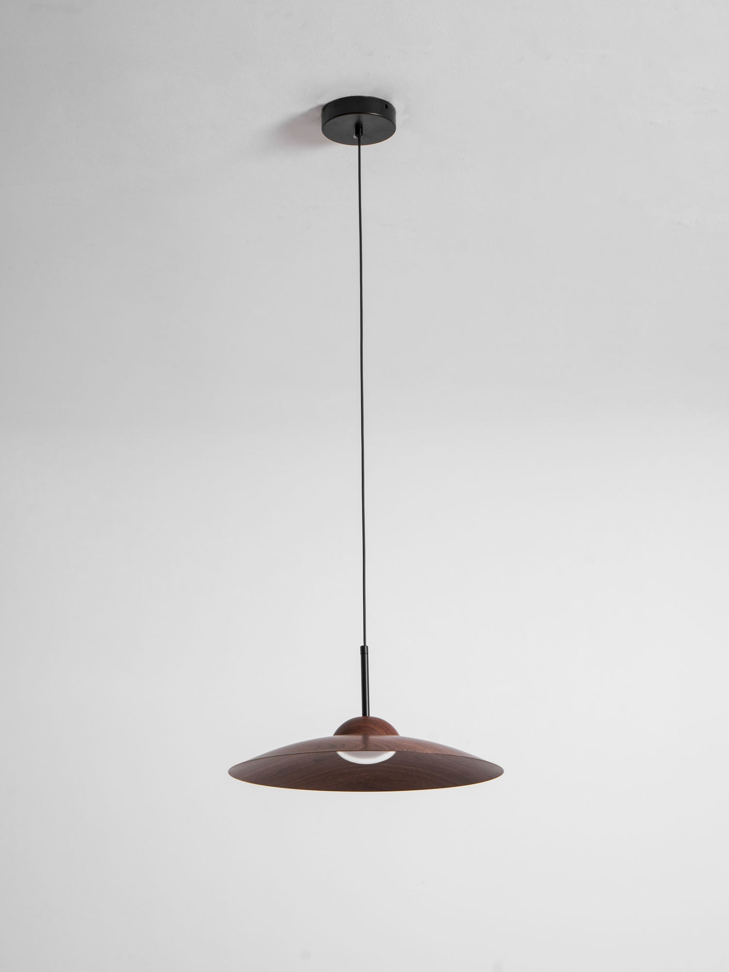 Arcadian Pendant Light