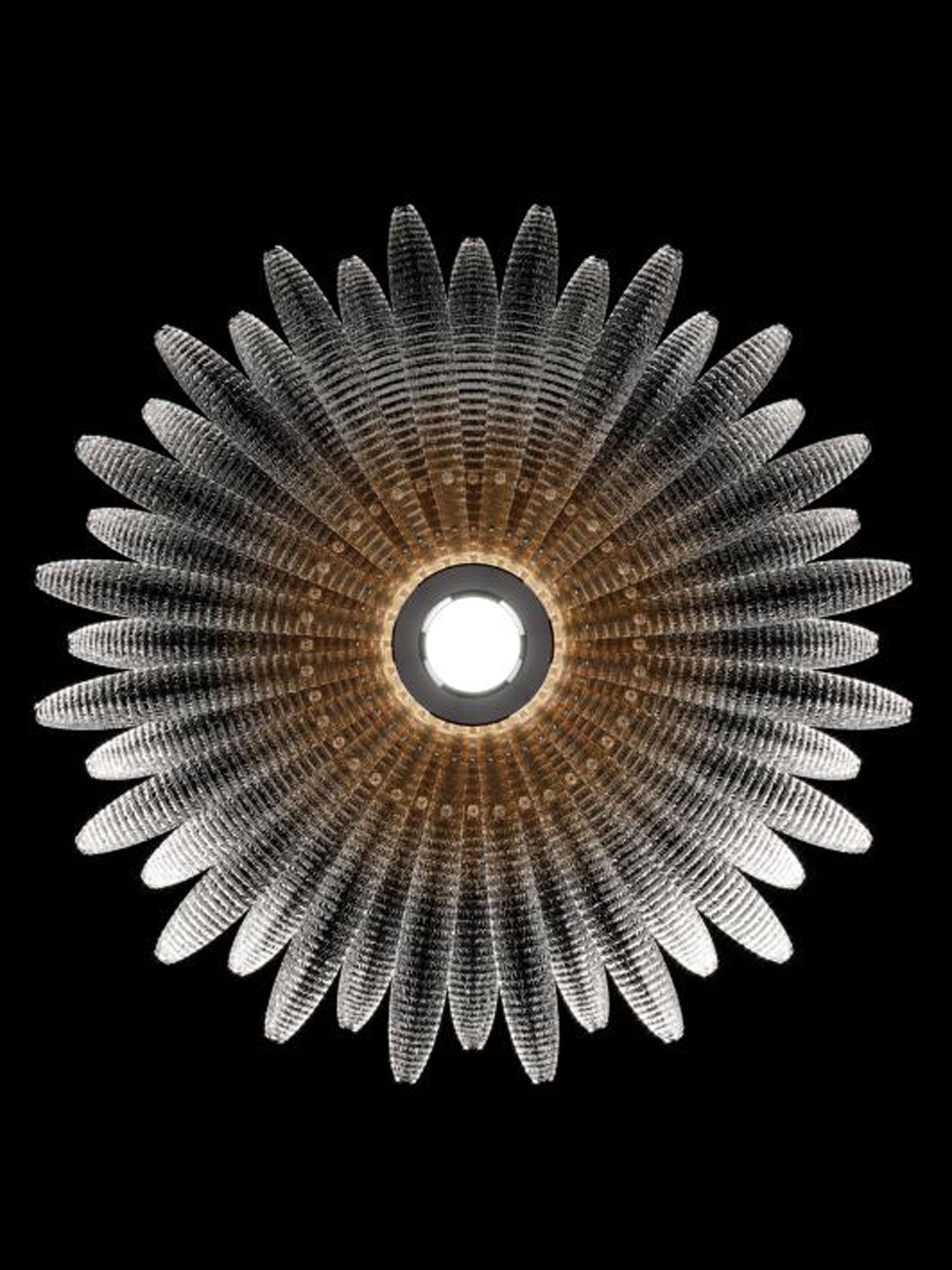 Aurelia Glass Petal Ceiling Light