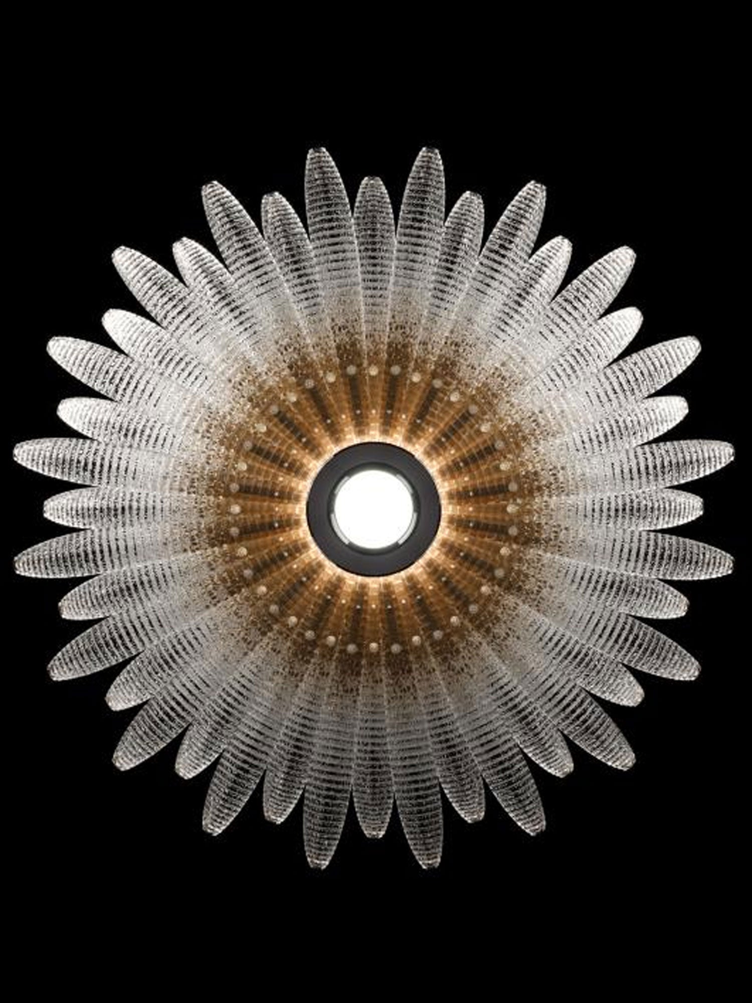 Aurelia Glass Petal Chandelier