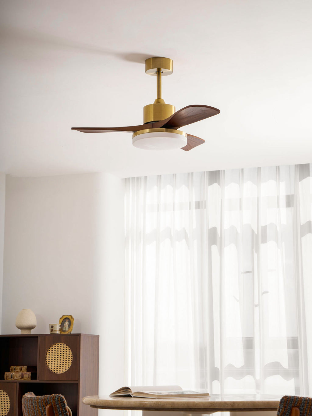 Aurevo Ceiling Fan Light