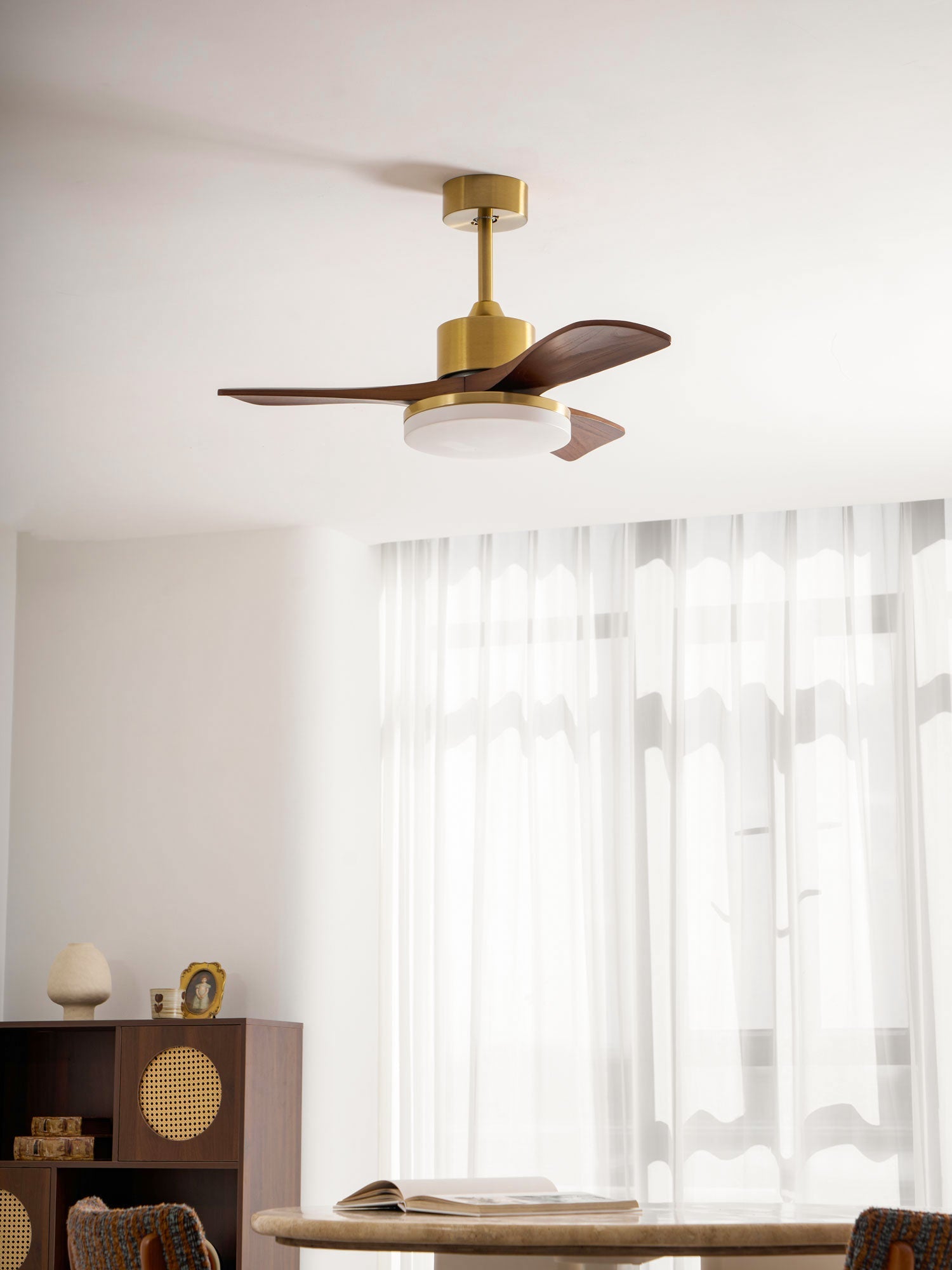 Aurevo Ceiling Fan Light