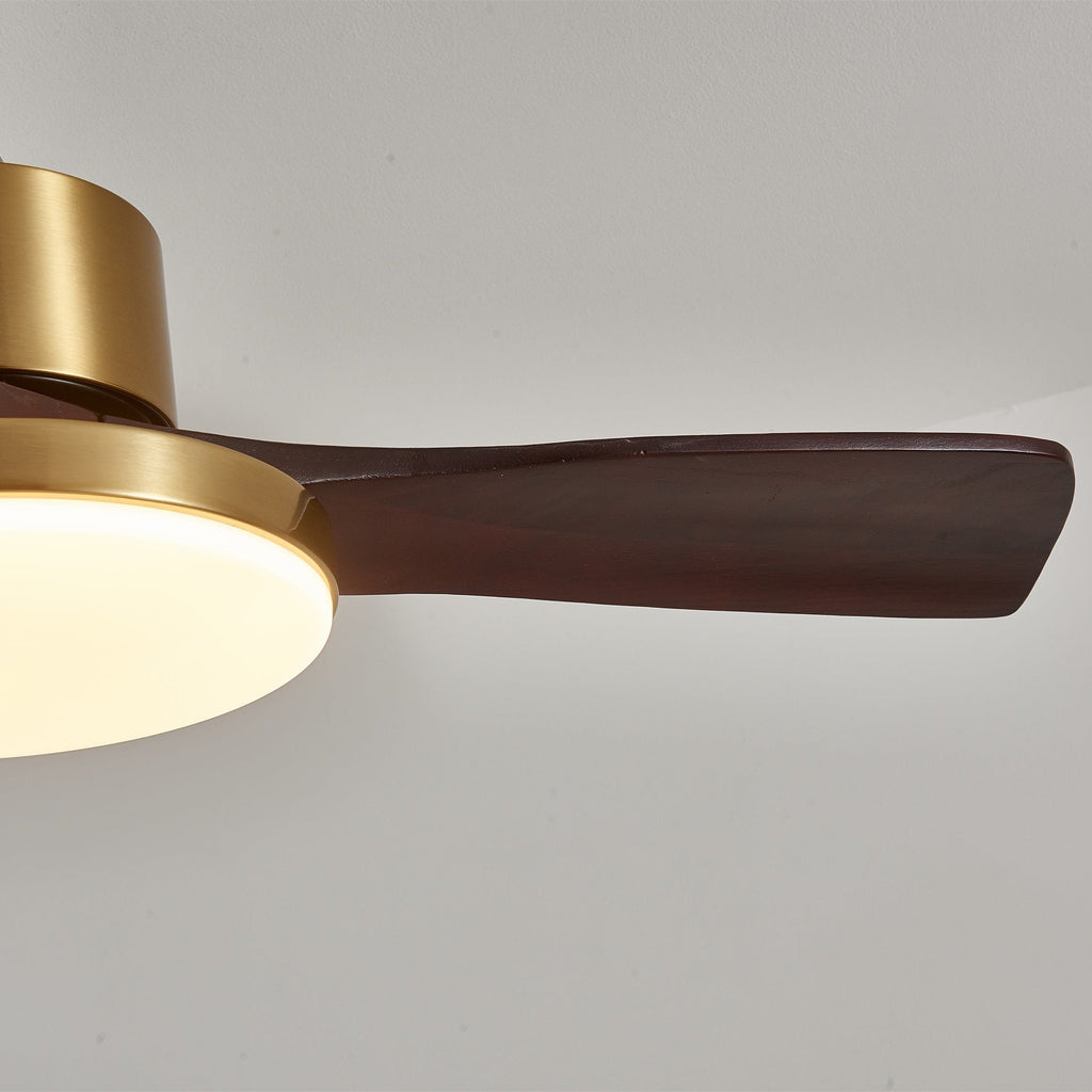 Aurevo Ceiling Fan Light