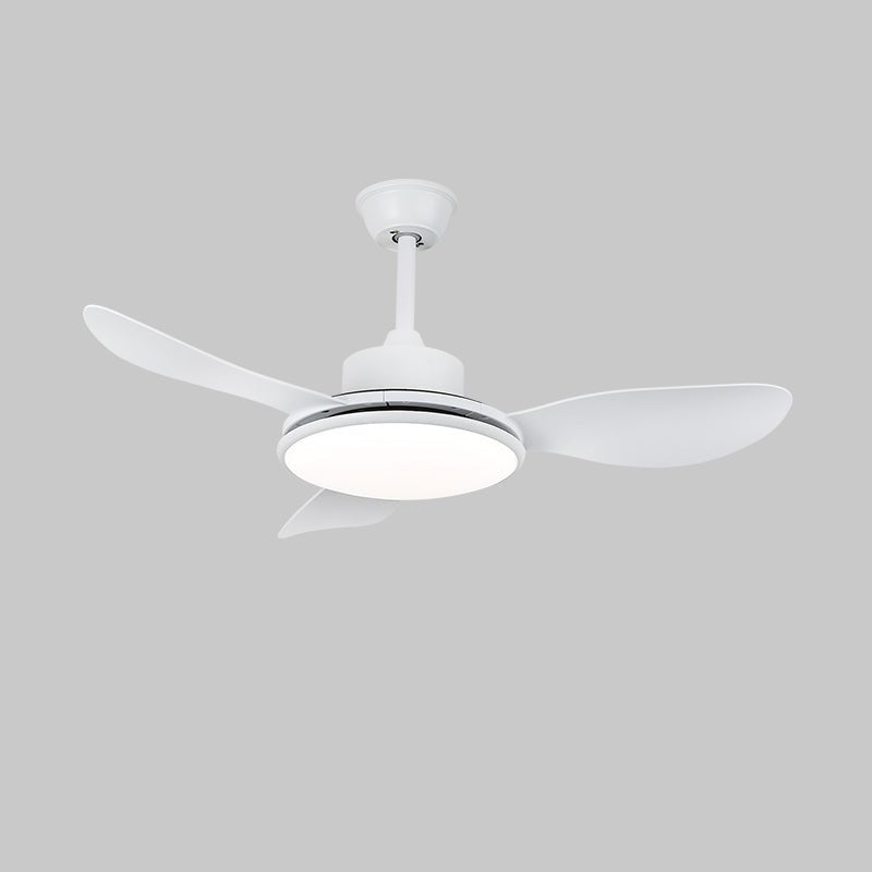 Brinley 42"/52" Ceiling Fan Light