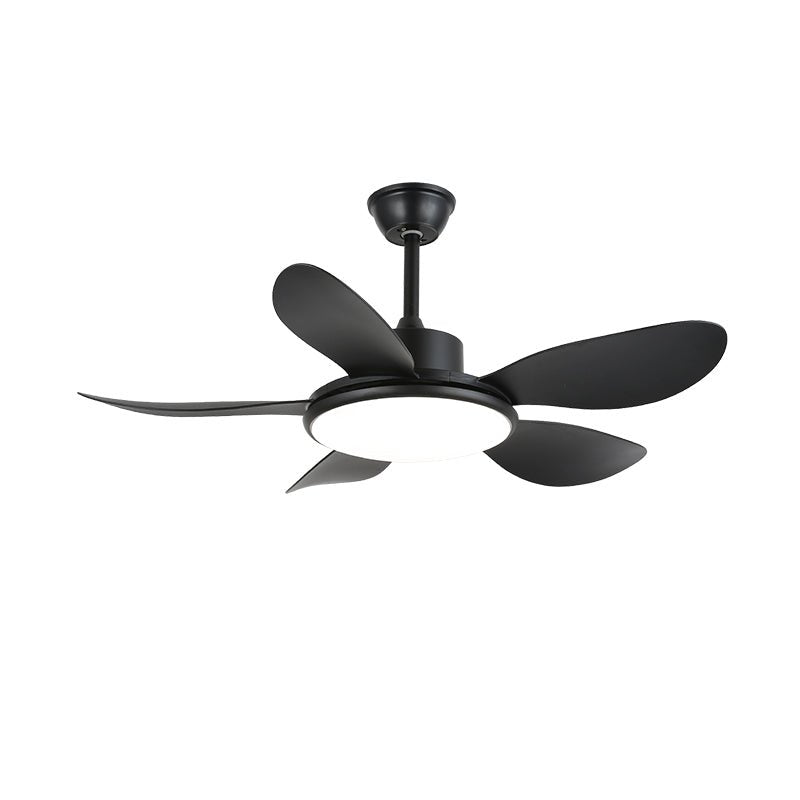 Brinley 42"/52" Ceiling Fan Light