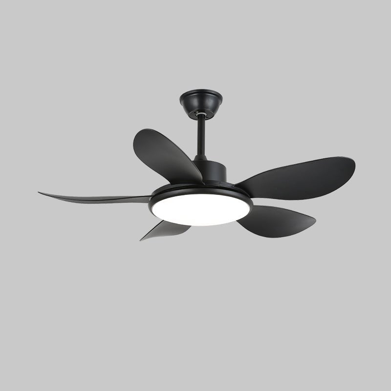Brinley 42"/52" Ceiling Fan Light